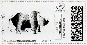 Rhino 1