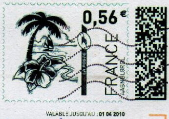 Tropical beach with palm tree