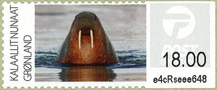 Stamp, Walrus (Odobenus rosmarus), Greenland,  , Sea (Marine) Mammals