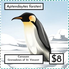 Aptendoytes forsteri