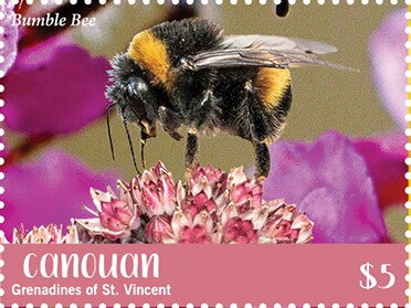Bumble Bee