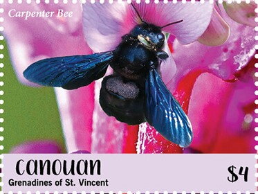 Stamp, Carpenter Bee, Grenadines of St. Vincent, Canouan,  , Animals (Fauna), Bees, Insects