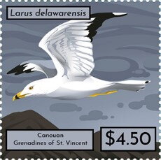 Larus delawarensis