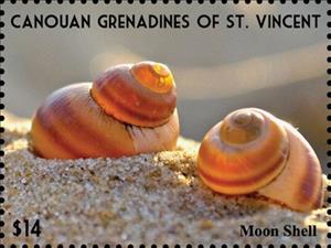 Stamp, Moon Shell, Grenadines of St. Vincent, Canouan,  , Animals (Fauna), Sea Life, Shells