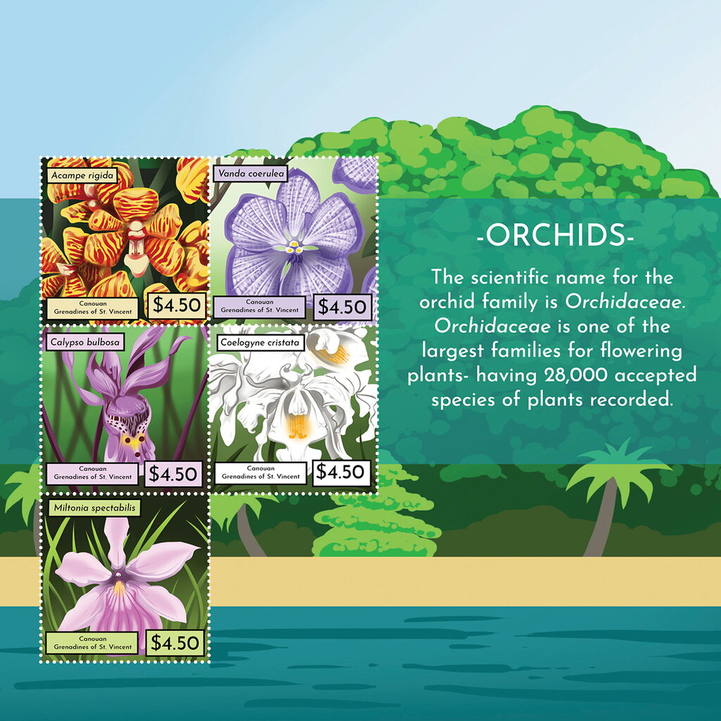 Orchids