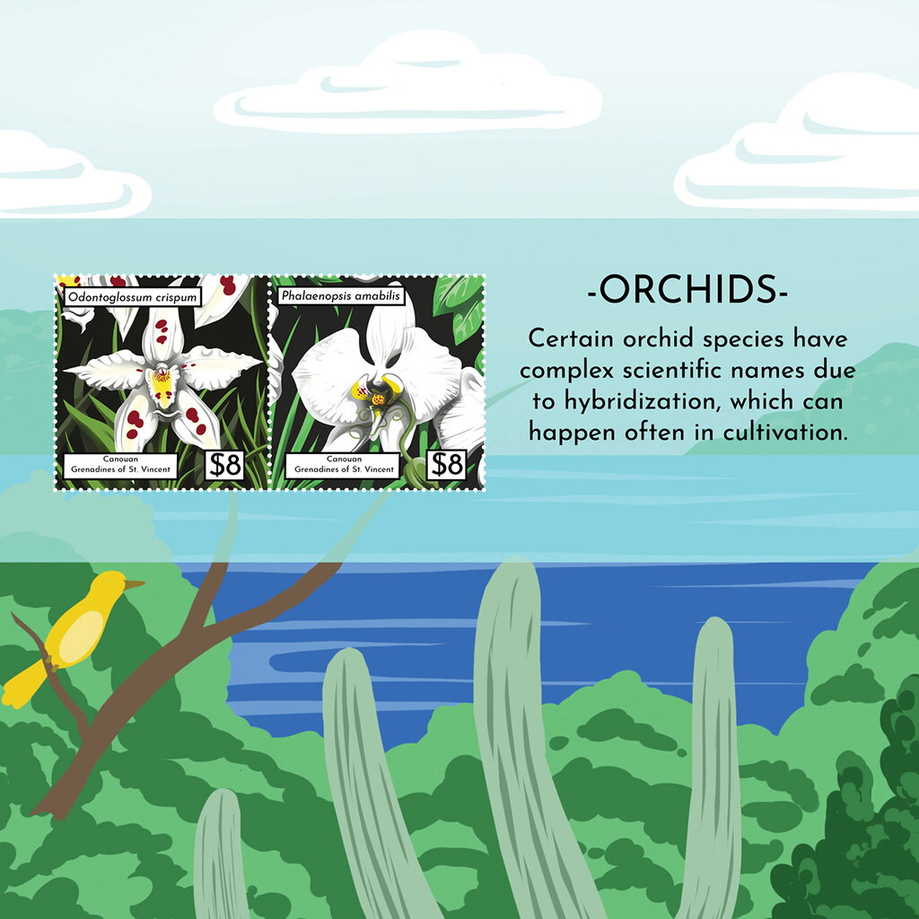 Orchids