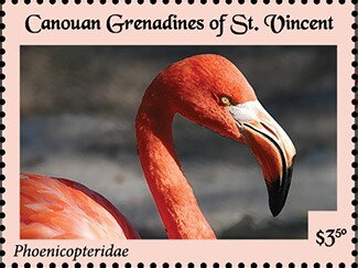 Phoenicopteridae