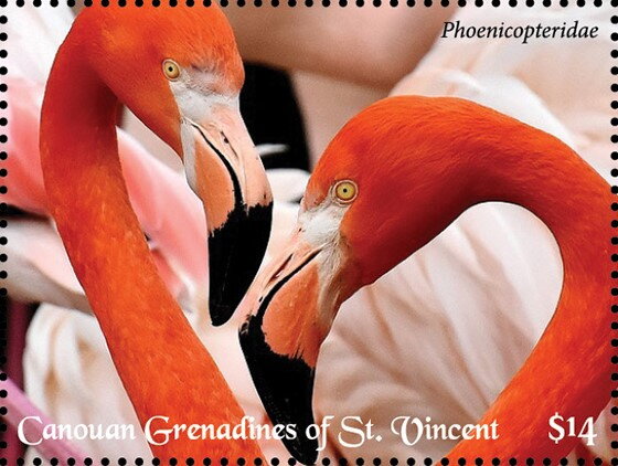 Phoenicopteridae