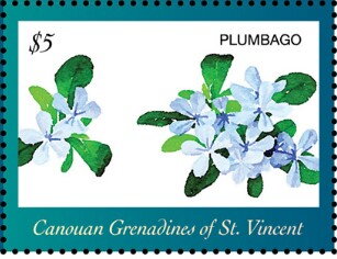 Plumbago