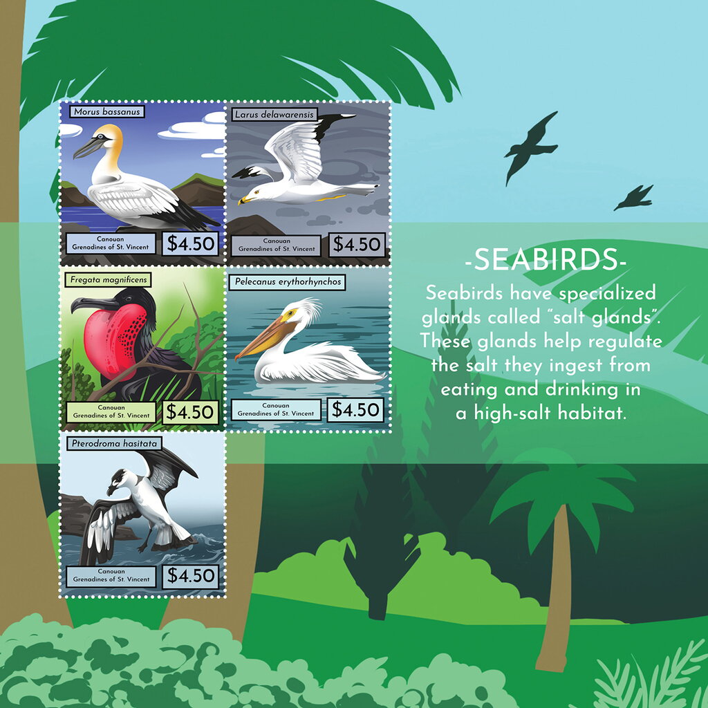 Seabirds