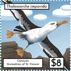 Thalassarche impavida