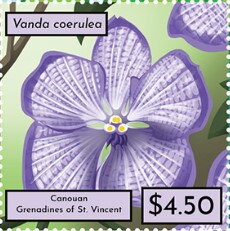 Vanda coerulea