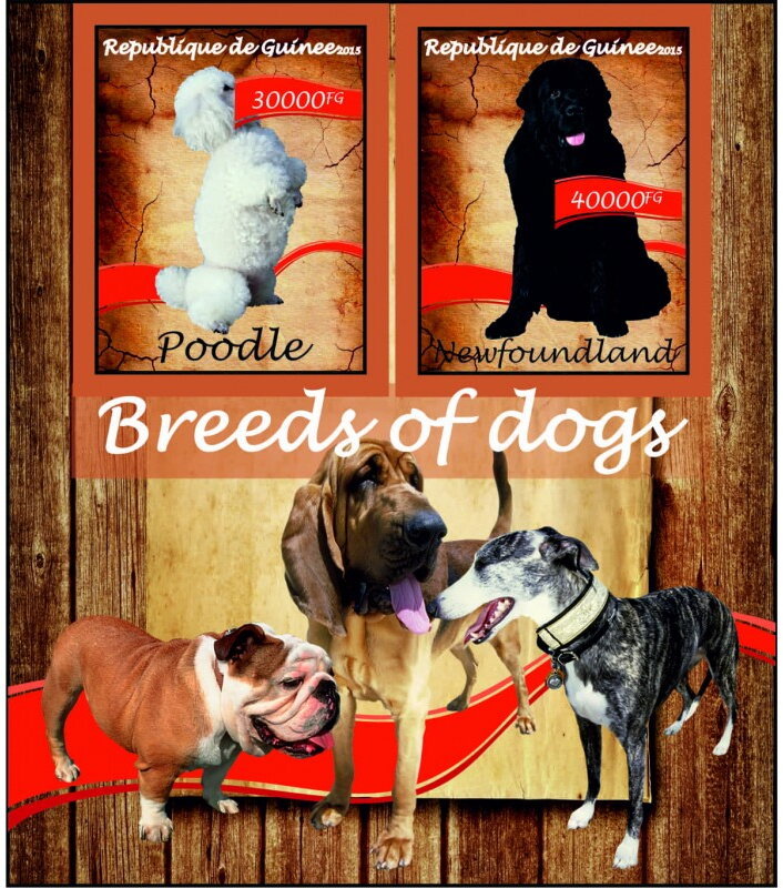 Fauna Breed of dogs