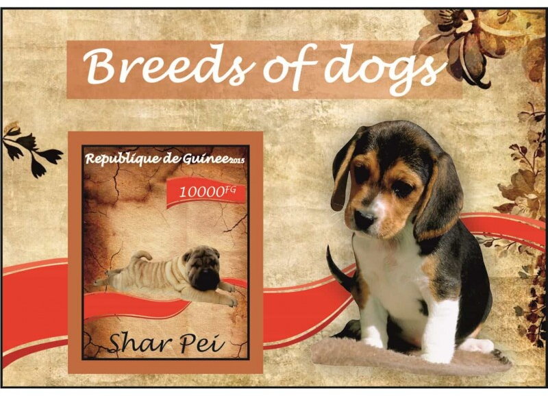 Fauna Breed of dogs