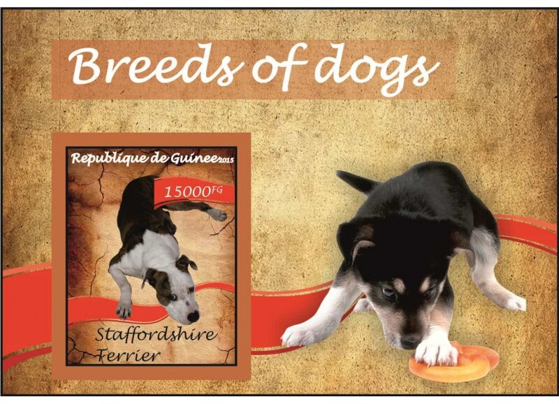 Fauna Breed of dogs