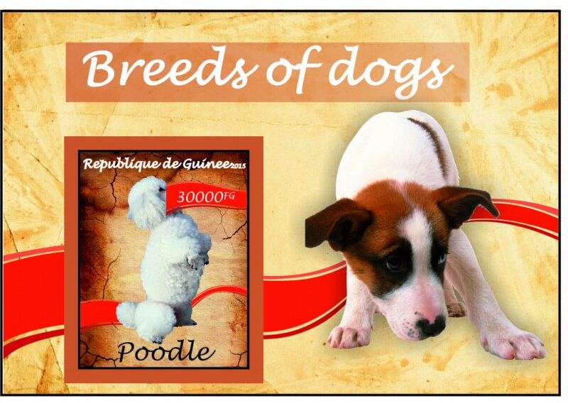 Fauna Breed of dogs