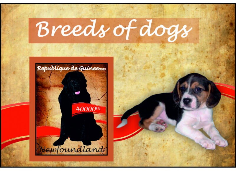 Fauna Breed of dogs