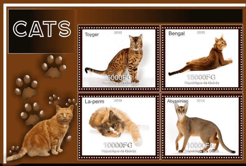 Fauna Cats
