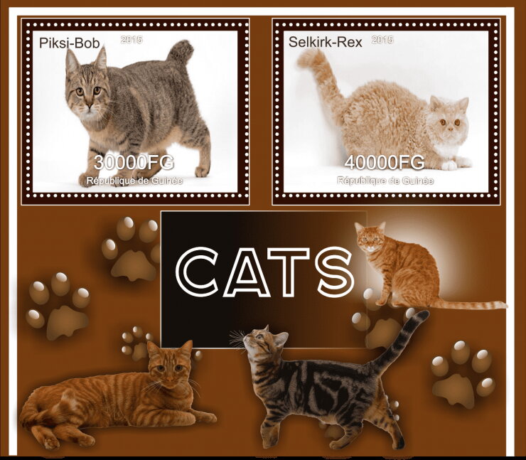 Fauna Cats