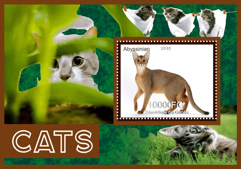 Fauna Cats