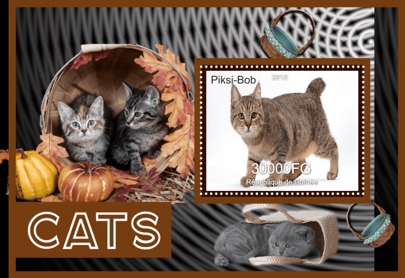 Fauna Cats