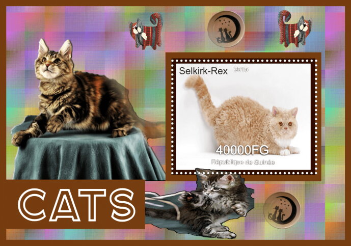 Fauna Cats