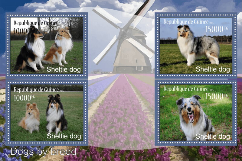 Fauna Sheltie dogs