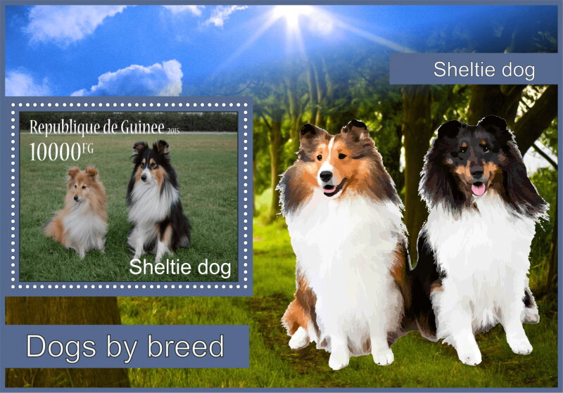 Fauna Sheltie dogs