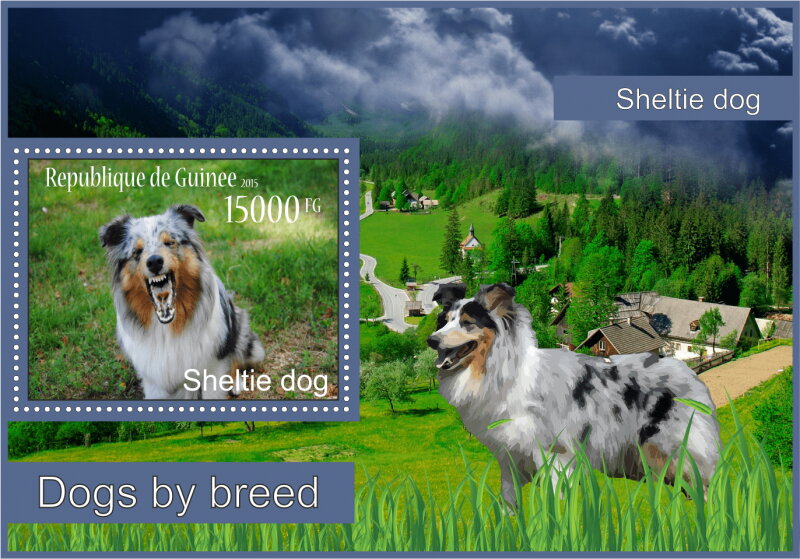 Fauna Sheltie dogs