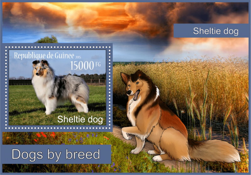 Fauna Sheltie dogs