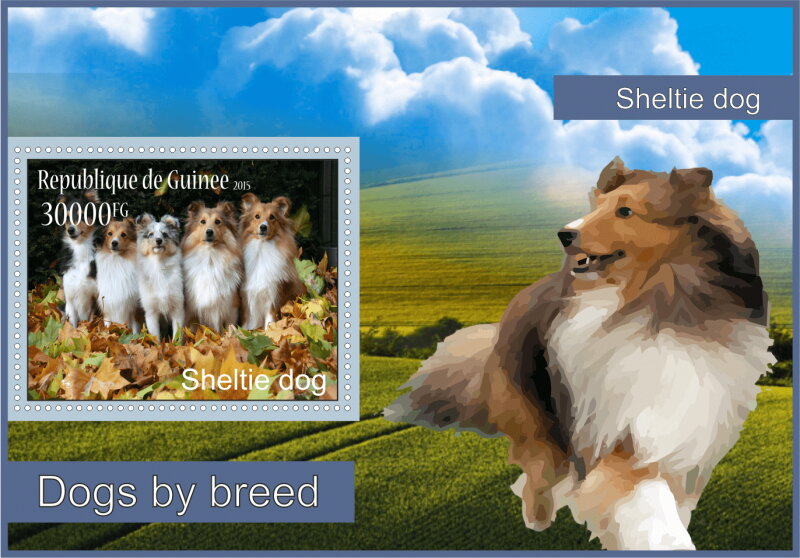 Fauna Sheltie dogs