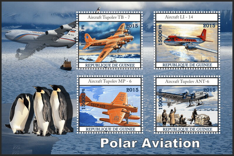 Transport Polar aviation
