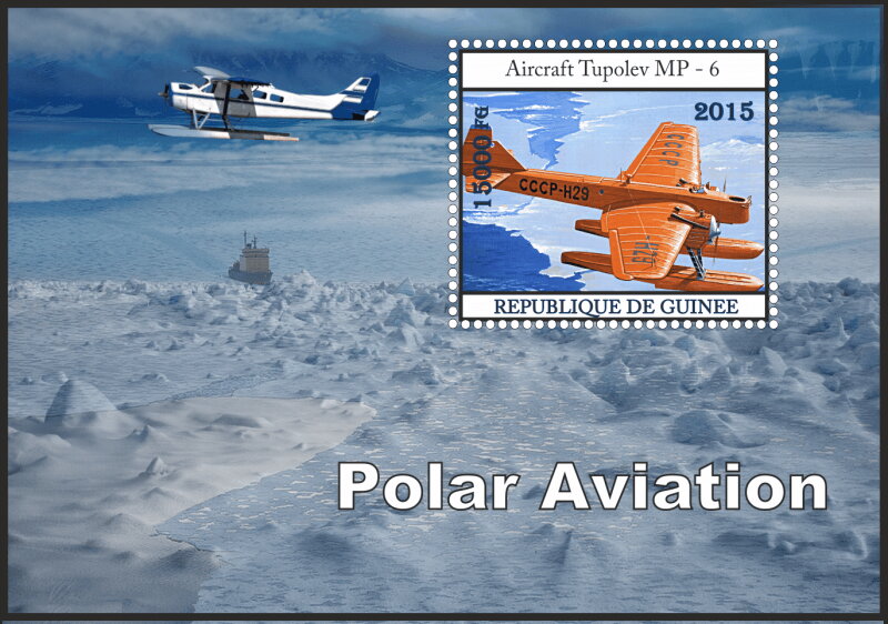 Transport Polar aviation
