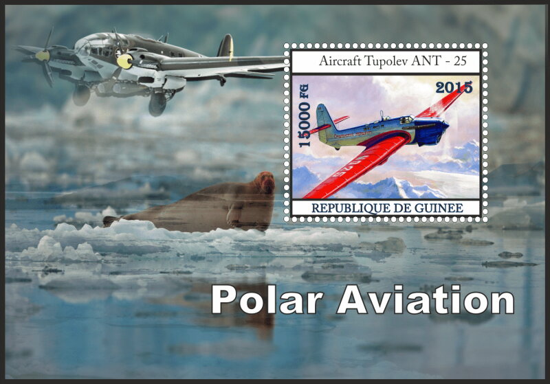 Transport Polar aviation