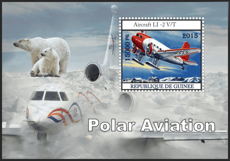 Transport Polar aviation