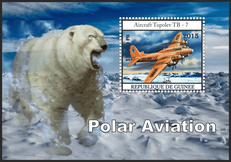 Transport Polar aviation