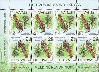 Aquatic Warbler (Acrocephalus paludicola)