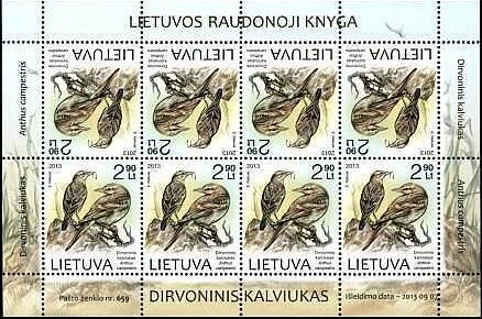 Tawny Pipit (Anthus campestris)