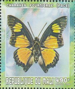 Stamp, Euphaedra Charaxes (Charaxes fournierae), dorsal, Mali,  , Animals (Fauna), Butterflies, Insects