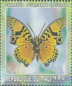 Stamp, Euphaedra Charaxes (Charaxes fournierae), ventral, Mali,  , Animals (Fauna), Butterflies, Insects