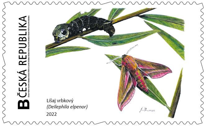 Lišaj vrbkový