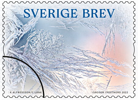 Frost Pattern