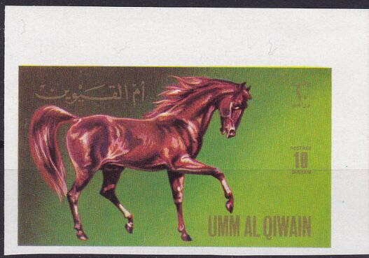 Horse (Equus ferus caballus)
