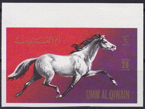 Horse (Equus ferus caballus)