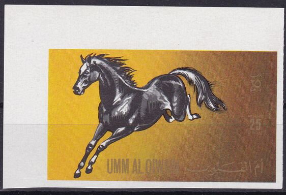 Horse (Equus ferus caballus)