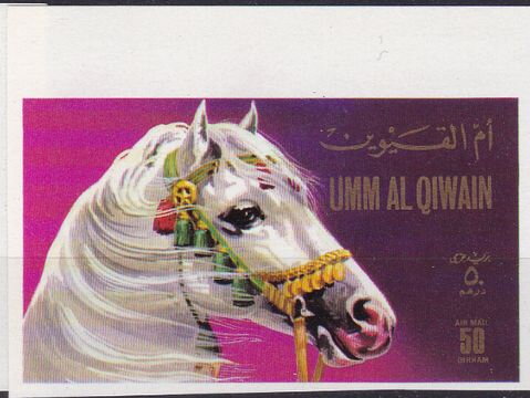 Horse (Equus ferus caballus)