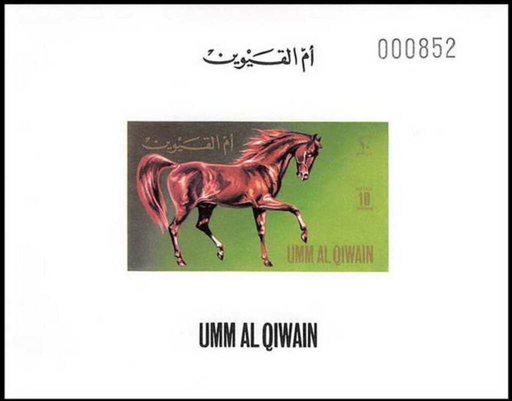 Horse (Equus ferus caballus)