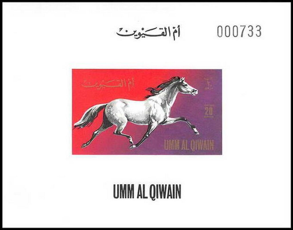 Horse (Equus ferus caballus)
