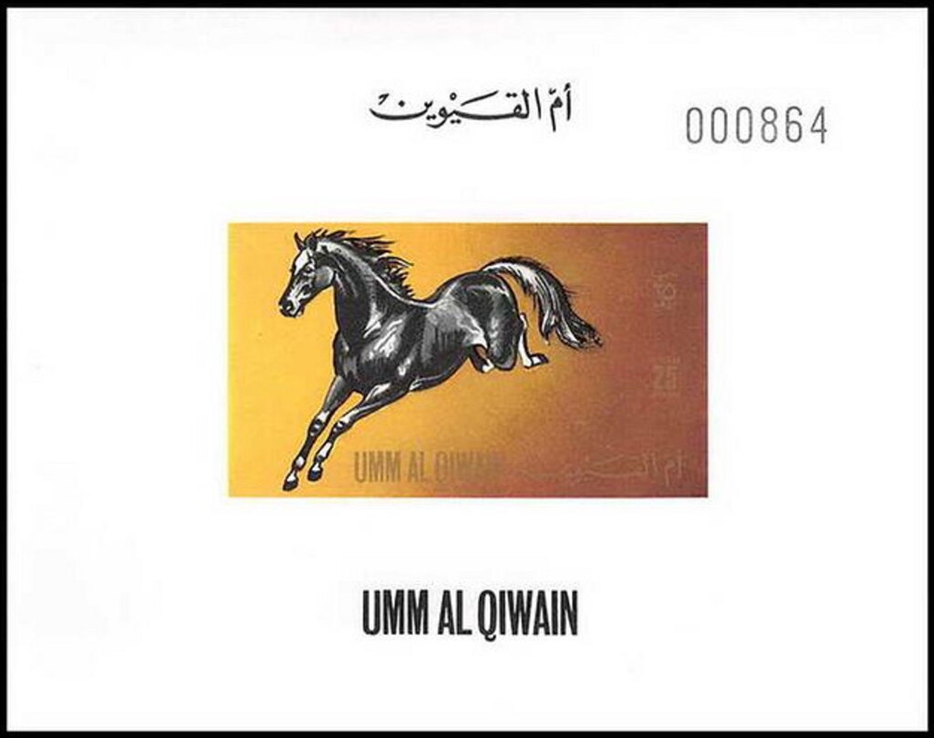 Horse (Equus ferus caballus)