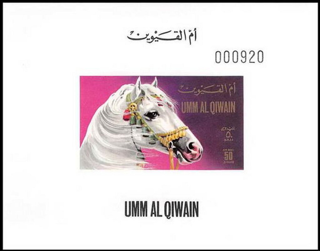 Horse (Equus ferus caballus)